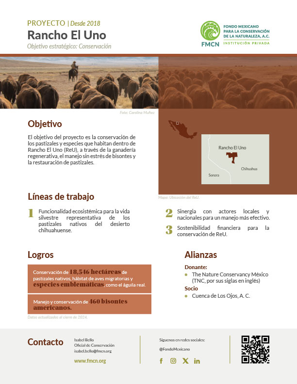 2025_REU_ES
