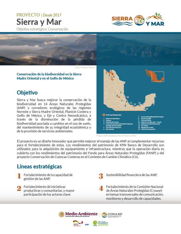 2025_SyM_ES