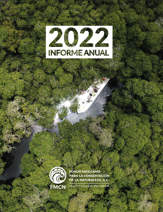 informe22