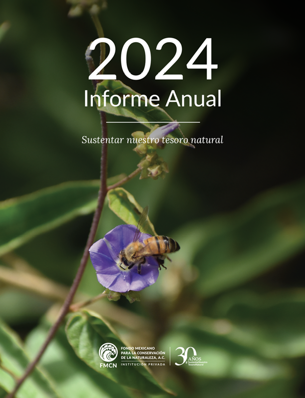 portadaFMCNInforme2024