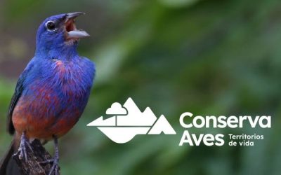 Vuela Conserva Aves en México de la mano con las comunidades en sus territorios de vida