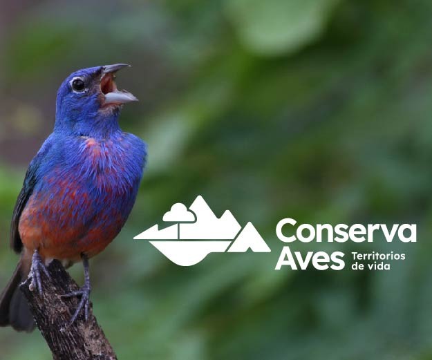 Vuela Conserva Aves en México de la mano con las comunidades en sus territorios de vida